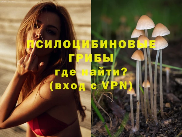 дмт Балабаново
