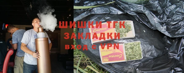 прущие грибы Балахна