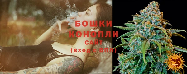 прущие грибы Балахна