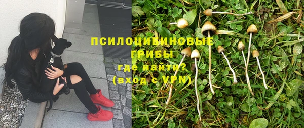 мескалин Армянск
